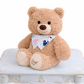 Plush Teddy Bear 14 inch
